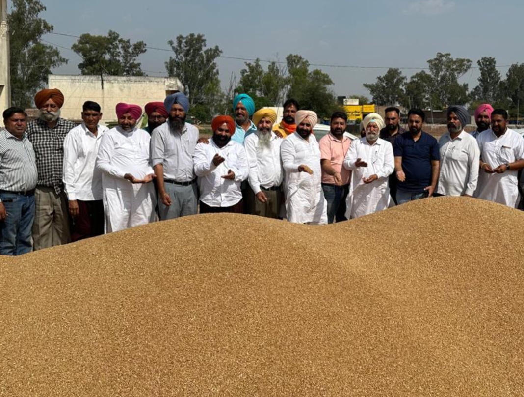 Farmers will not face any problem during the purchase of wheat: Harmeet Pathanmajra